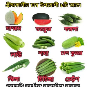 ৯টি বীজের প্যাকেজ