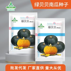 Green BABY Pumkin 2 ta