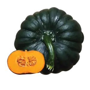 Misti Kumra Seed