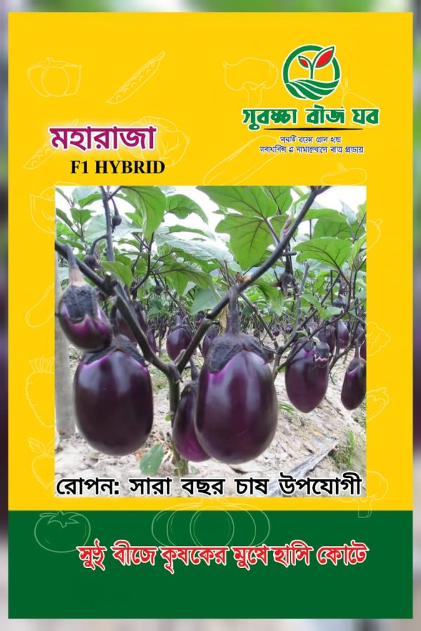 Moharaja begun