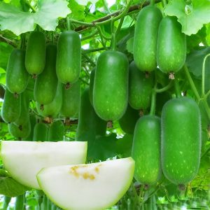 ১ পেকেট ৪৫০ টাকা