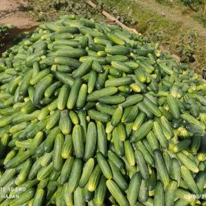 ১০ গ্রামের ৪ পেকেট ১০৫০ টাকা