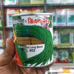 Long Bean Seeds