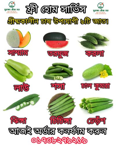 ✅পারিবারিক চাহিদা মেটাতে ৯টি গ্রীষ্মকালীন ফল ও সবজি বীজের প্যাকেজ