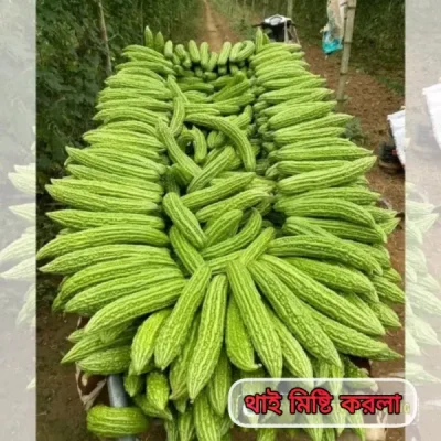 WhatsApp Image 2025-01-24 at 6.39.55 PM
