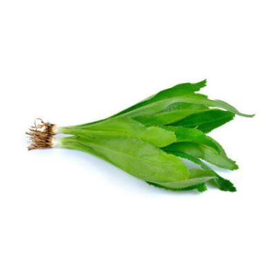 images (3)